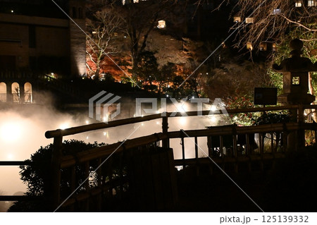 椿山荘の夜景 125139332