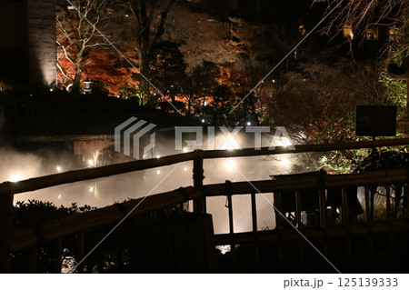 椿山荘の夜景 椿山荘の夜景 125139333