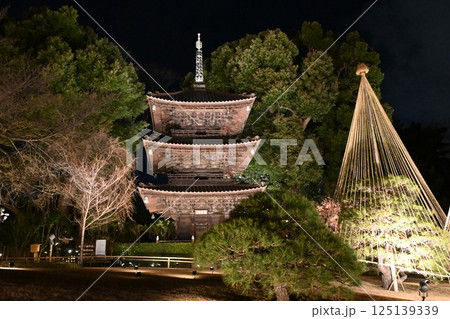 椿山荘の夜景 椿山荘の夜景 125139339