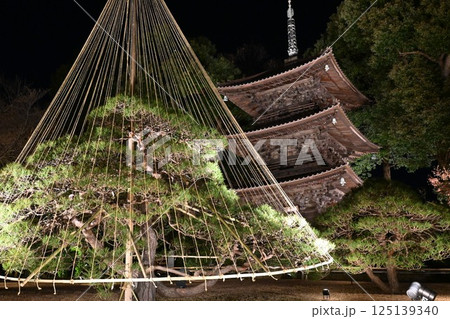 椿山荘の夜景 椿山荘の夜景 125139340