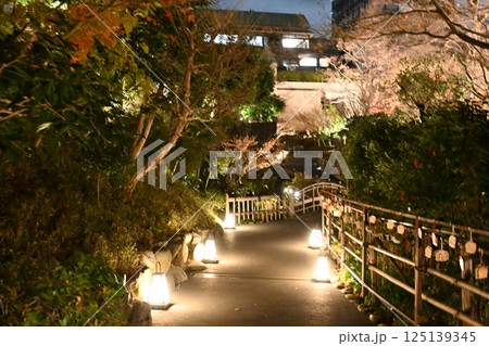 椿山荘の夜景 椿山荘の夜景 125139345