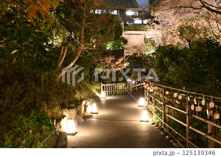 椿山荘の夜景 125139346