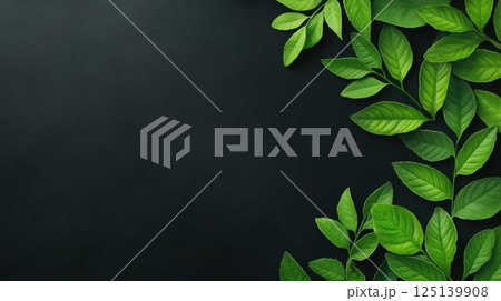 A lush arrangement of green leaves on a dark background 125139908