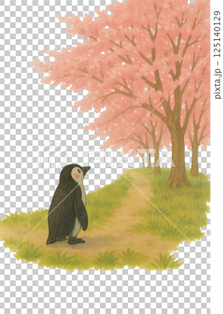 初めて桜を見るペンギン 125140129