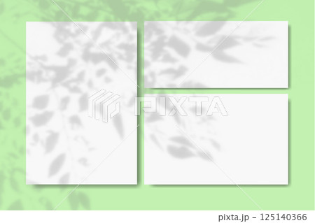 Natural light casts shadows from the leaves and branches of the tree on horizontal and vertical sheets of white textured paper against a green wall. Mockup Natural light casts shadows from the leaves and branches of the tree on horizontal and vertical sheets of white textured paper against a green wall. Mockup 125140366