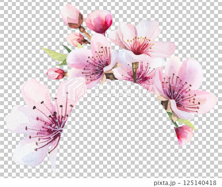 Frame with watercolor pink cherry flowers and green leaves, wedding sakura isolated illustration 125140418