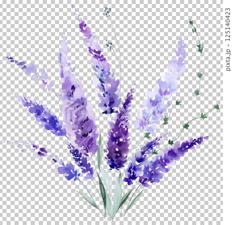 Bouquet made of watercolor lavender flowers. Purple wildflowers wedding isolated illustration Bouquet made of watercolor lavender flowers. Purple wildflowers wedding isolated illustration 125140423