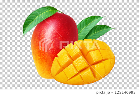 Mango illustration realistic white background Mango illustration realistic white background 125140995