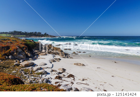 Coastal landscape in California 125141424