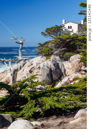 Coastal landscape in California 125141446