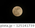 ピンクムーン 125141739