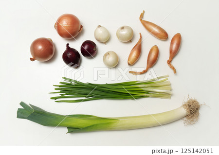 Different types of onions on a white background. Vegetables. Rapchata, green onion. Shallot. Variety. Different types of onions on a white background. Vegetables. Rapchata, green onion. Shallot. Variety. 125142051