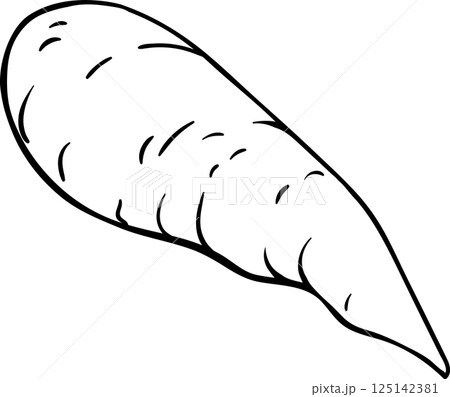 Carrot Root Outline Illustration Carrot Root Outline Illustration 125142381