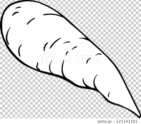 Carrot Root Outline Illustration Carrot Root Outline Illustration 125142381