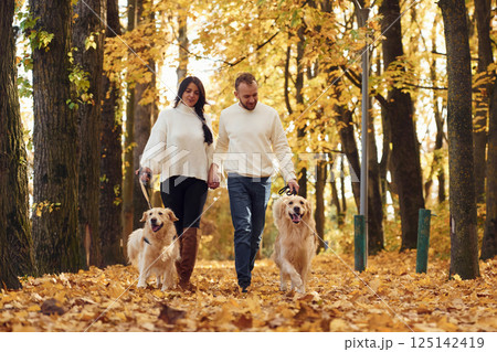 Front view. Lovely couple are on the walk in autumn park with two dogs Front view. Lovely couple are on the walk in autumn park with two dogs 125142419