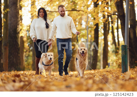 Lovely couple are on the walk in autumn park with two dogs 125142423