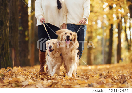 Lovely couple are on the walk in autumn park with two dogs 125142426