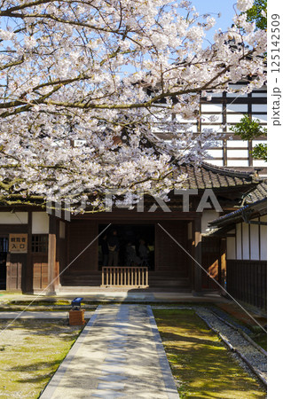 桜咲く豪農の館 内山邸（富山県民会館分館） 125142509