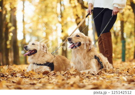 View from below. Woman on the walk with her two dogs in the autumn forest 125142512