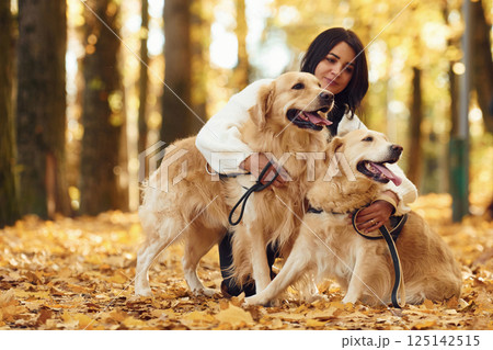 Woman on the walk with her two dogs in the autumn forest 125142515