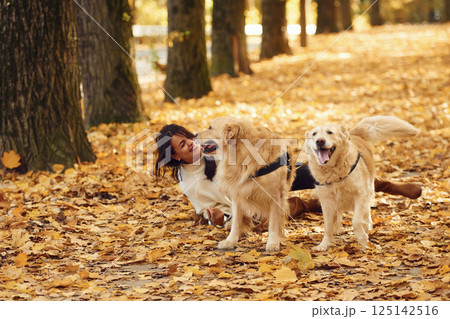Smiling and playing. Woman on the walk with her two dogs in the autumn forest Smiling and playing. Woman on the walk with her two dogs in the autumn forest 125142516