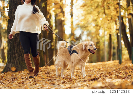 Having fun together. Woman is on the walk with her dog in the autumn forest at daytime Having fun together. Woman is on the walk with her dog in the autumn forest at daytime 125142538