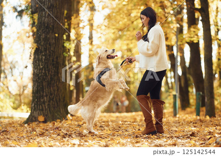 Animal is standing on the back legs. Woman is on the walk with her dog in the autumn forest at daytime 125142544