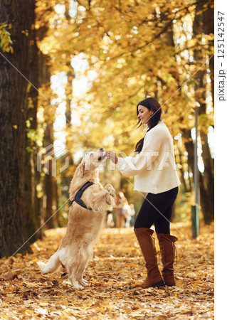 Doing tricks. Woman is on the walk with her dog in the autumn forest at daytime Doing tricks. Woman is on the walk with her dog in the autumn forest at daytime 125142547
