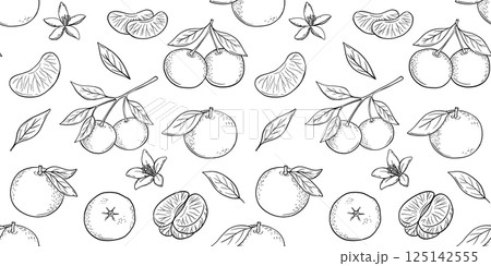 Seamless pattern with hand drawn sketch of mandarin, tangerine fruit. Vector isolated illustration. Engraved style. 125142555