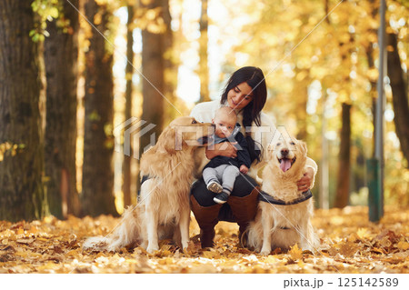 Sitting on the ground. Mother with toddler and with two dogs are in the autumn forest Sitting on the ground. Mother with toddler and with two dogs are in the autumn forest 125142589