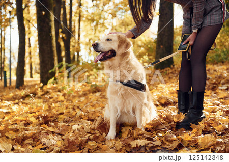Woman is on the walk with her dog in the autumn forest at daytime 125142848