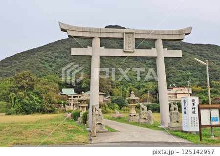 山口県下関市にある龍王神社鳥居とコスモス咲く参道 125142957
