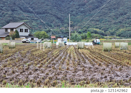 農地で草の刈り取りをする光景 125142962