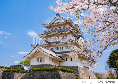 千葉市 春の亥鼻城 125142990