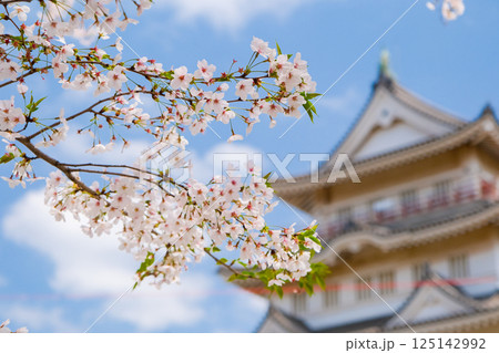 千葉市 春の亥鼻城 千葉市 春の亥鼻城 125142992