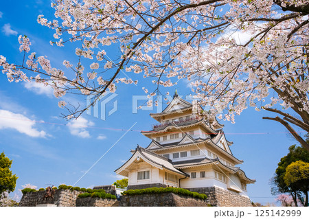 千葉市 春の亥鼻城 125142999