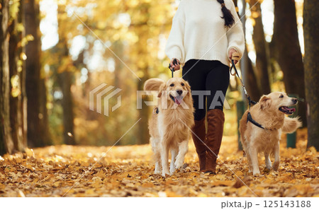 View from below. Woman on the walk with her two dogs in the autumn forest 125143188