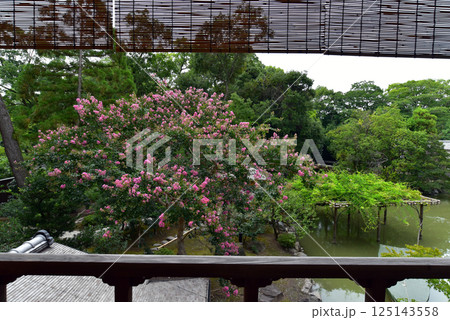 京都御苑　夏の九条邸跡 拾翠亭 125143558