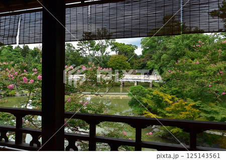 京都御苑　夏の九条邸跡 拾翠亭 125143561