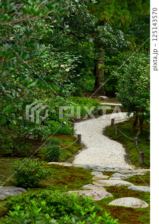 京都御苑　夏の九条邸跡 拾翠亭 125143570