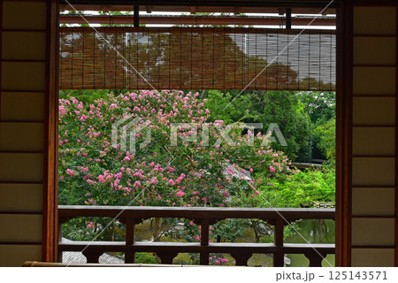 京都御苑　夏の九条邸跡 拾翠亭 125143571