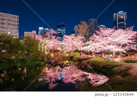 東京都港区 六本木、毛利庭園の夜桜 東京都港区 六本木、毛利庭園の夜桜 125143649