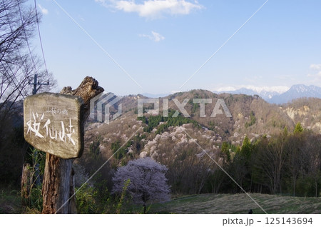 信州 安曇野 池田町 桜仙峡(おうせんきょう)の山桜風景(陸郷山桜) 2025年撮影 信州 安曇野 池田町 桜仙峡(おうせんきょう)の山桜風景(陸郷山桜) 2025年撮影 125143694