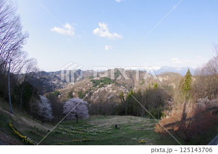 信州 安曇野 池田町 桜仙峡(おうせんきょう)の山桜風景(陸郷山桜) 2025年撮影 信州 安曇野 池田町 桜仙峡(おうせんきょう)の山桜風景(陸郷山桜) 2025年撮影 125143706