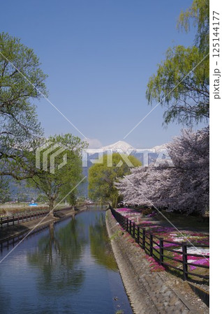 信州 安曇野 北アルプス常念岳と拾ヶ堰(じっかせぎ) 春 桜のある風景 安曇野人気撮影ポイント 信州 安曇野 北アルプス常念岳と拾ヶ堰(じっかせぎ) 春 桜のある風景 安曇野人気撮影ポイント 125144177