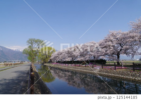 信州 安曇野 北アルプス常念岳と拾ヶ堰(じっかせぎ) 春 桜のある風景 安曇野人気撮影ポイント 信州 安曇野 北アルプス常念岳と拾ヶ堰(じっかせぎ) 春 桜のある風景 安曇野人気撮影ポイント 125144185
