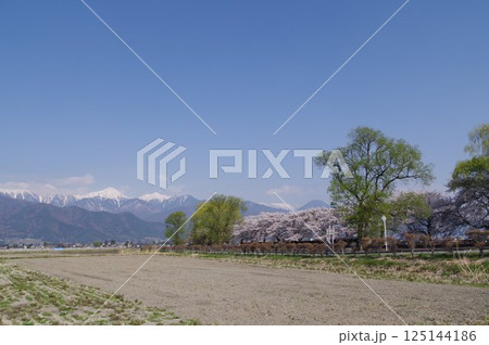 信州 安曇野 北アルプス常念岳と拾ヶ堰(じっかせぎ) 春 桜のある風景 安曇野人気撮影ポイント 信州 安曇野 北アルプス常念岳と拾ヶ堰(じっかせぎ) 春 桜のある風景 安曇野人気撮影ポイント 125144186