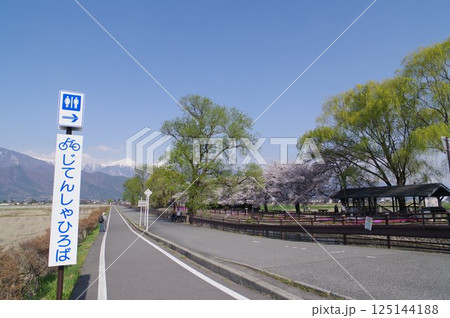 信州　安曇野　北アルプス常念岳と拾ヶ堰（じっかせぎ）　春　桜のある風景　安曇野人気撮影ポイント 125144188