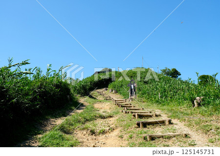 滋賀県長浜市_賤ヶ岳山頂への道3_2024年8月 滋賀県長浜市_賤ヶ岳山頂への道3_2024年8月 125145731