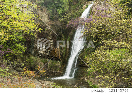 Waterfall lush greenery. Natural waterfall in the forest or jungle Waterfall lush greenery. Natural waterfall in the forest or jungle 125145795
